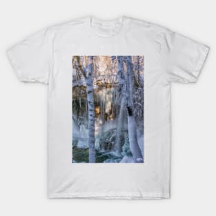 Scheidegg Second Waterfall in winter T-Shirt